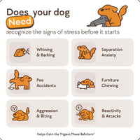 Dog Calming Diffuser Kit View 4