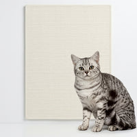 Cat Scratcher Sofa Protector View 7