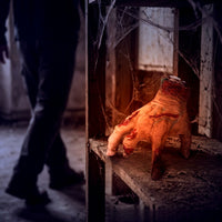 The Electric Walking Hand ambush prop on a cobweb-covered haunted house shelf View 5