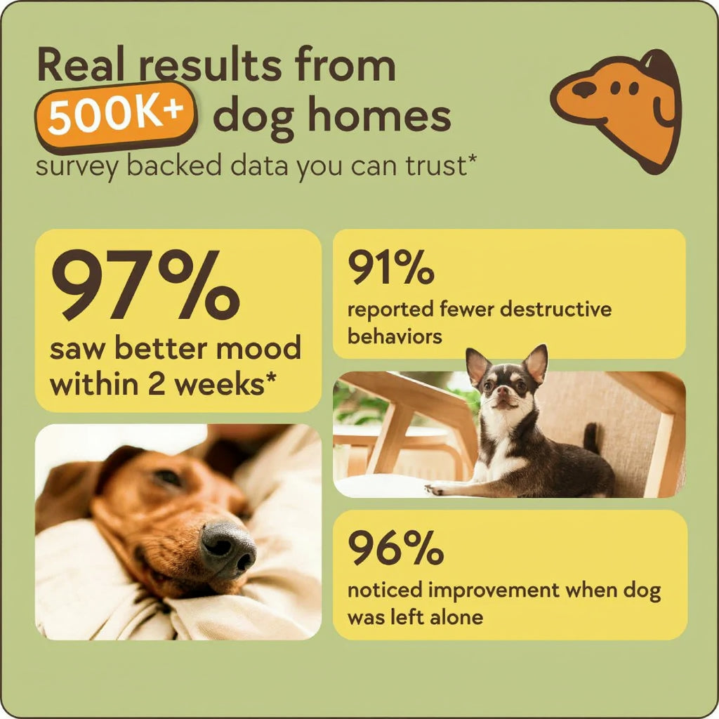 Dog Calming Diffuser Kit View 7