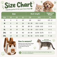Bear Design Cat Pack lifestyle shot carrying a cat outdoors View 5