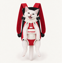 Cat Pack - Hands-Free Pet Carrier Backpack View 1