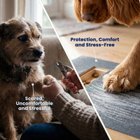 PawPal™ | Stress-Free Nail Care Board View 3