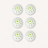 6x Shoe Deodoriser Balls