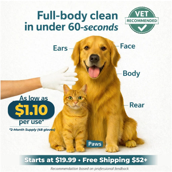 Slip on the glove