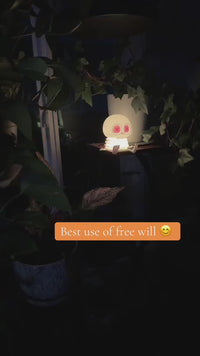 Skelly Light View 6
