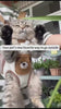 Baby Bubble product video